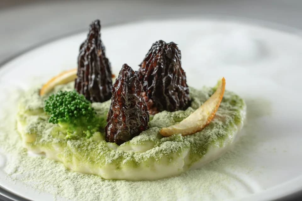Morel mushrooms rising above a pale purée dusted with green powder